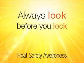 Heat Safety Awareness