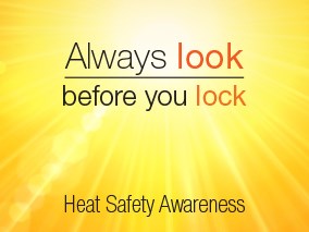Heat Safety Awareness